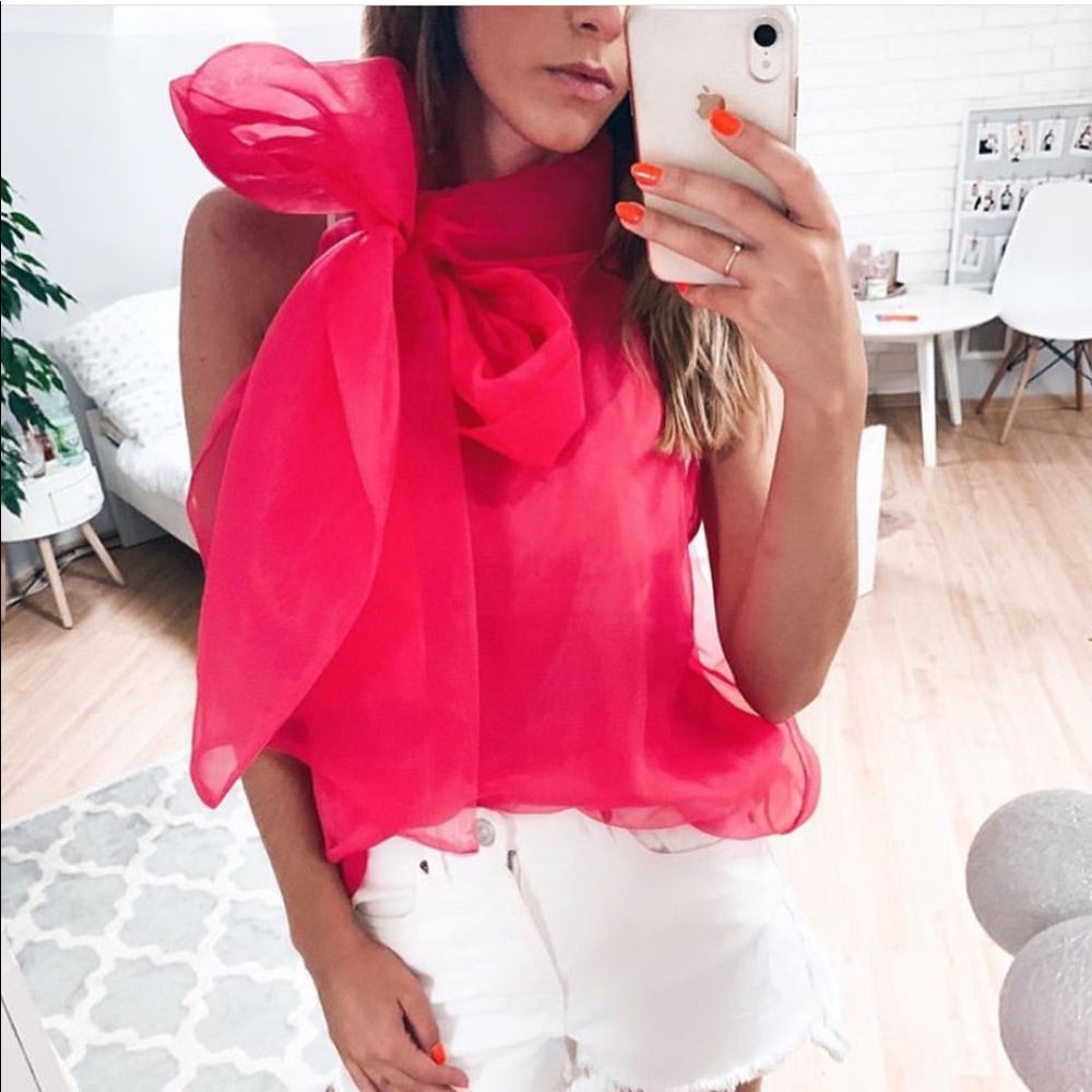 Zara organza top